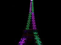 Paris 12-26-09 image 41